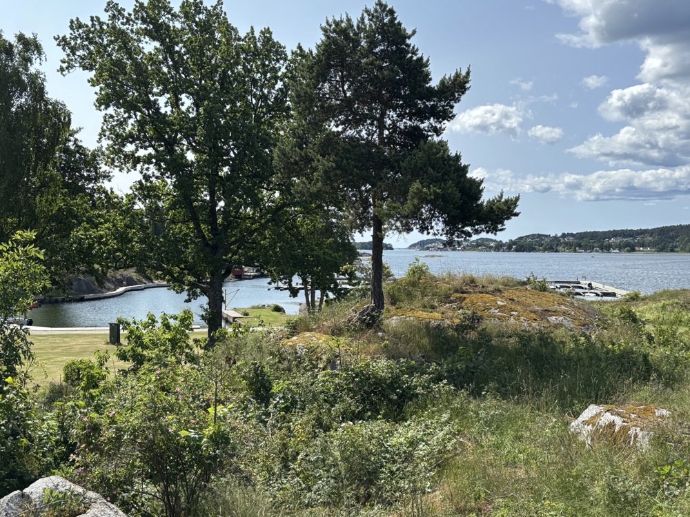 hav og trær og grønne busker og blå himmel, utsikt fra hytte
