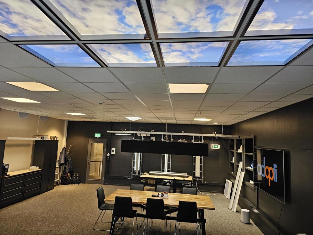 office premises, dark painted walls, with photo of blue skies and light clouds in the ceiling.