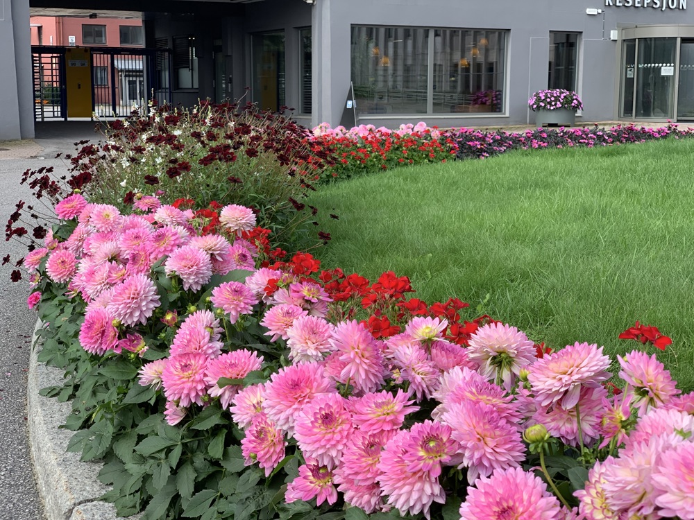 flowers in roundabout outside reception area, green grass in middle.